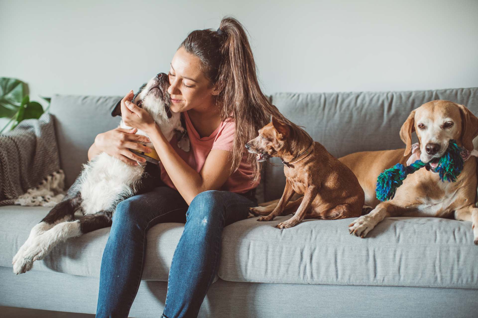 Featured image for “How Pets Can Improve Your Mental Health”